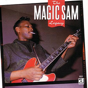 I Just Want A Little Bit by Magic Sam