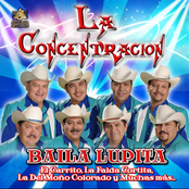 grupo la concentracion