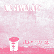 One Armed Joey: Like You Did