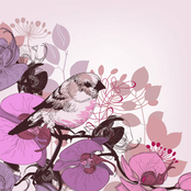 Yo! Champ in the Making!