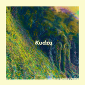 Unaka Prong: Kudzu