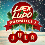 Promille I Jula