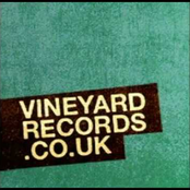 Vineyard Uk