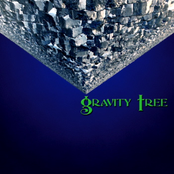 Gravity Tree