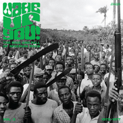 Wake Up You! The Rise and Fall of Nigerian Rock, 1972-1977 Vol. 2