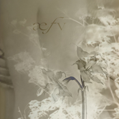 خلق و خوی هماهنگ