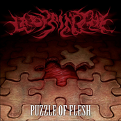 Prepped For Disembowelment - Single