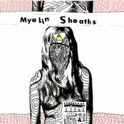 Blood Loss by Myelin Sheaths