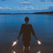 mountain bird