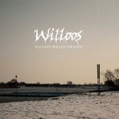Als Loze Willen Dwallen