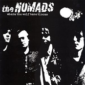 The Way You Touch My Hand by The Nomads