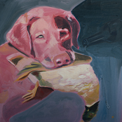 Blue County Pistol: Under Cold Country