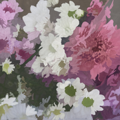 Song for They Go Boom!