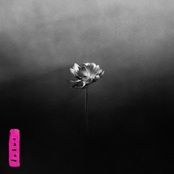 Young cover