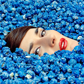Complètement Fou by Yelle