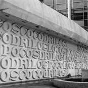 Pocos Cocodrilos Locos