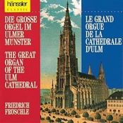 Die Grosse Orgel im Ulmer Münster