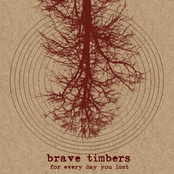 More Like The Oak Than The Willow by Brave Timbers