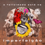 A Felicidade Está Na Imperfeição