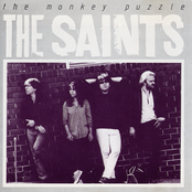 The Monkey's Puzzle + Paralytic Tonight Dublin Tomorrow
