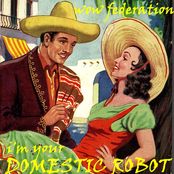 Domestic Robot