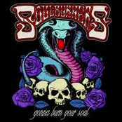 We're Gonna Burn Your Soul