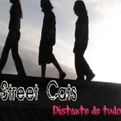 Não é Minha Culpa by Street Cats