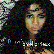 Giving Something Up by Amel Larrieux