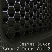 Back 2 Deep Volume Two