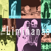 Tigre Du Bengale (instrumental) by The Limiñanas