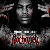 Waka Flocka Flame: Flockaveli