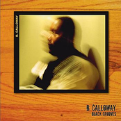 Shake It Work It by B. Calloway