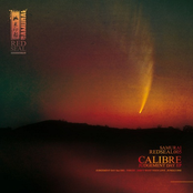 Jungle One by Calibre