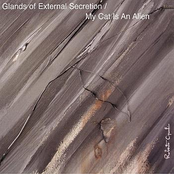 From The Earth To the Spheres Vol. 5