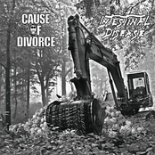 Intestinal Disease / Cause Of Divorce