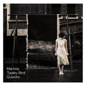 Too Tough To Die by Martina Topley-bird