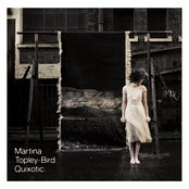 Ragga by Martina Topley-bird