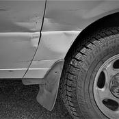 Elon Musk (Derogatory)