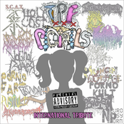 Tribute to TxPxFx Pigtails