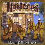 Llorando Tu Ausencia