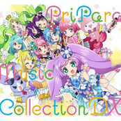 プリパラ ミュージックコレクション DX