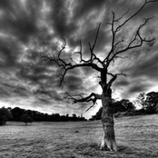 Dead Inside (single)