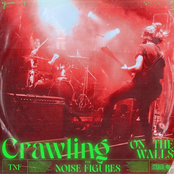 Crawling On The Walls