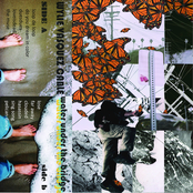 Water Under the Bridge