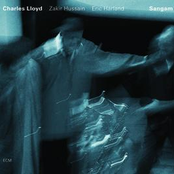 Lady In The Harbor by Charles Lloyd