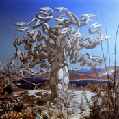 Obscured By A Setting Sun