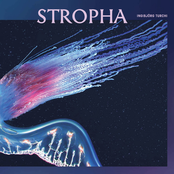 Stropha