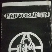 Paragraf 119