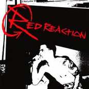 Welcome To The Warzone