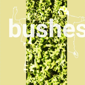 Bushes